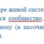 forwhat4.png